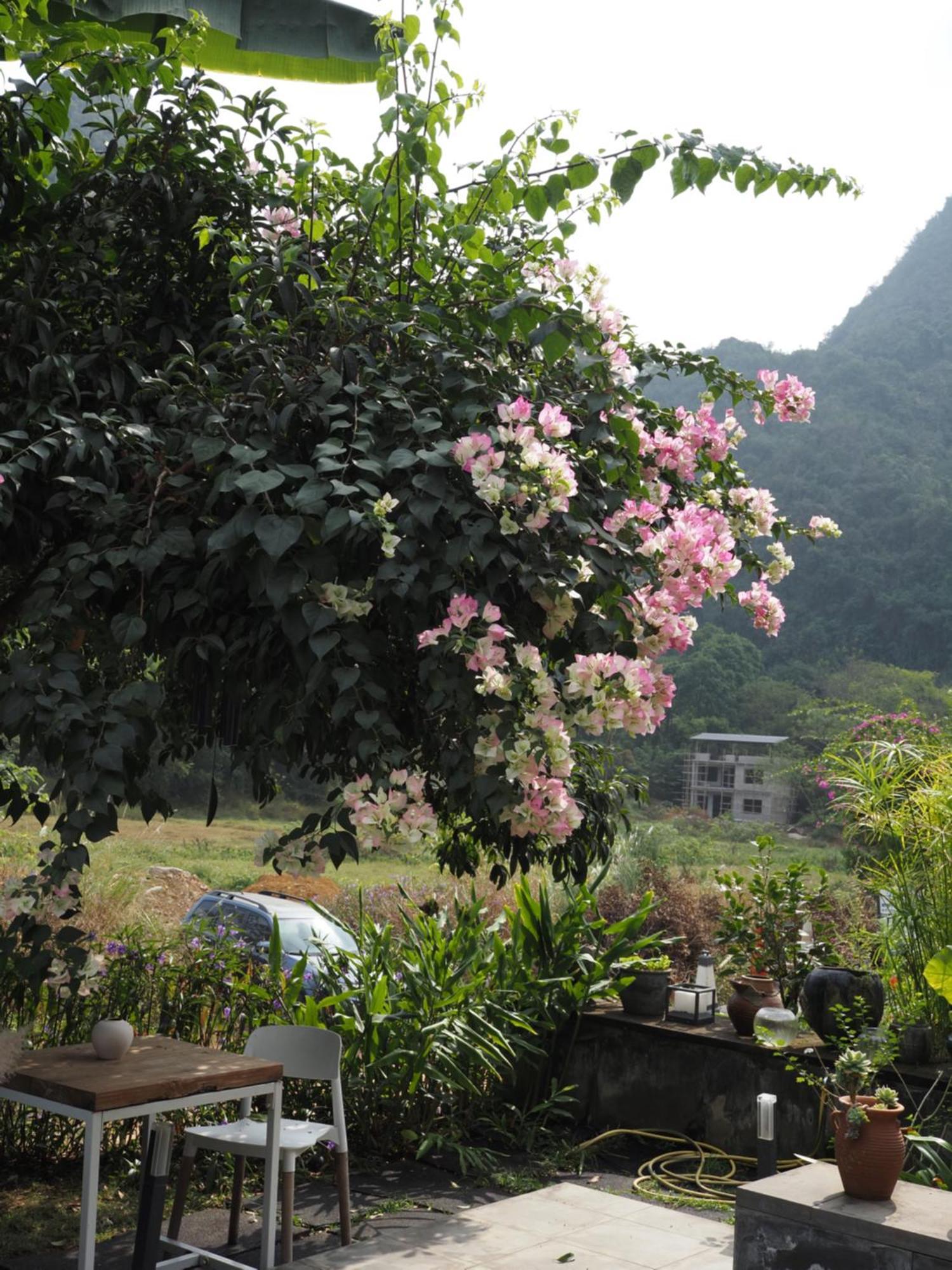 Yangshuo Hillside Homestay Kültér fotó