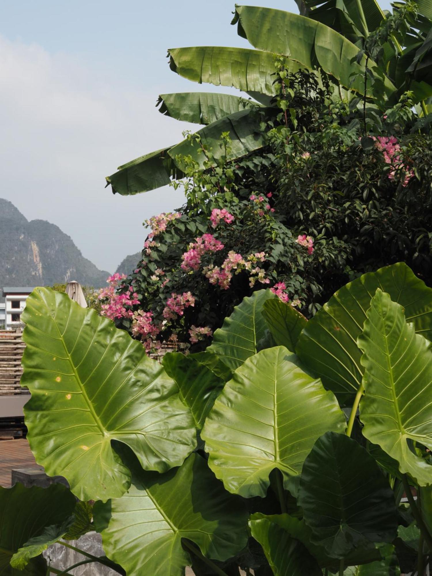 Yangshuo Hillside Homestay Kültér fotó