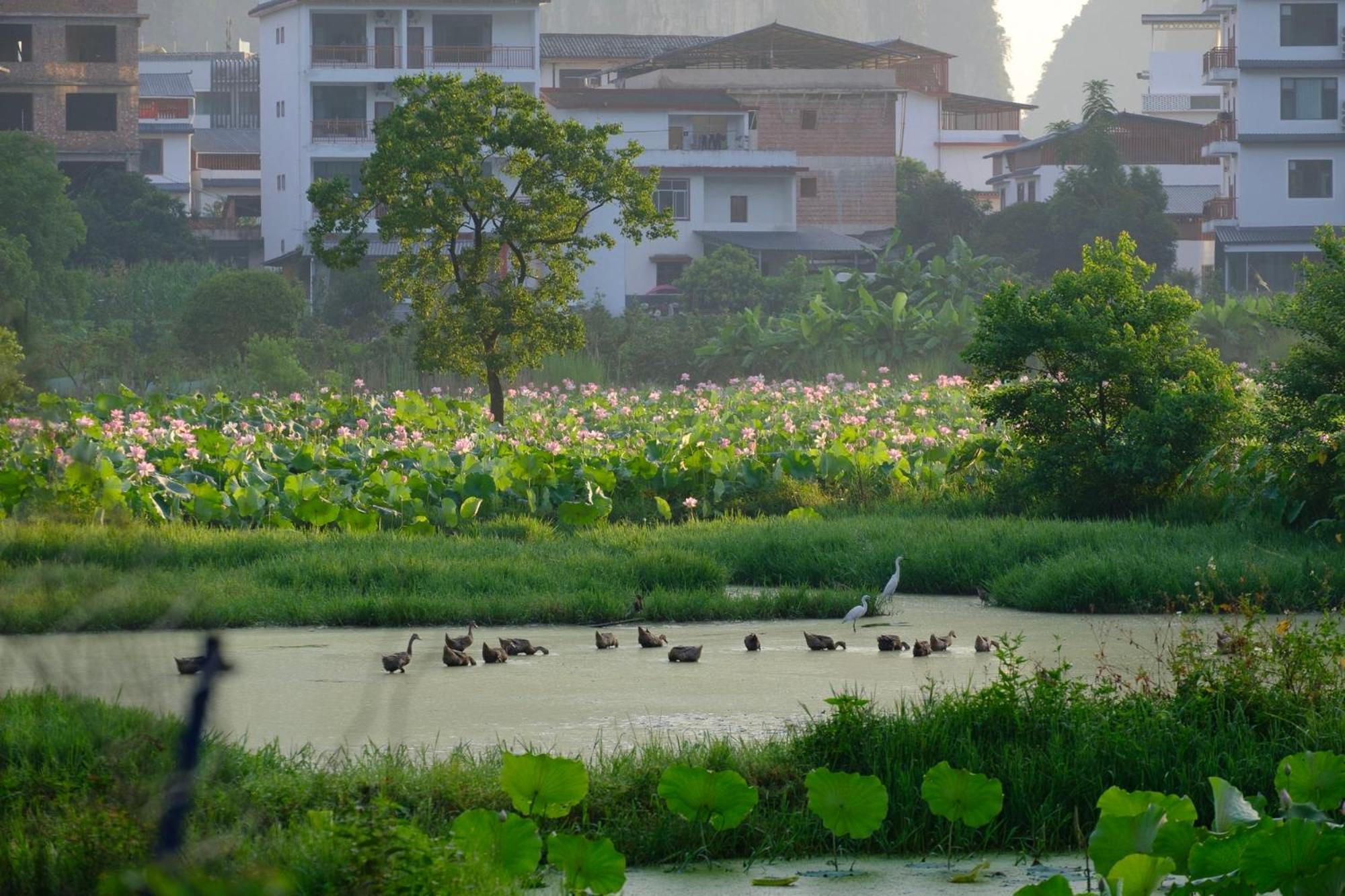 Yangshuo Hillside Homestay Kültér fotó