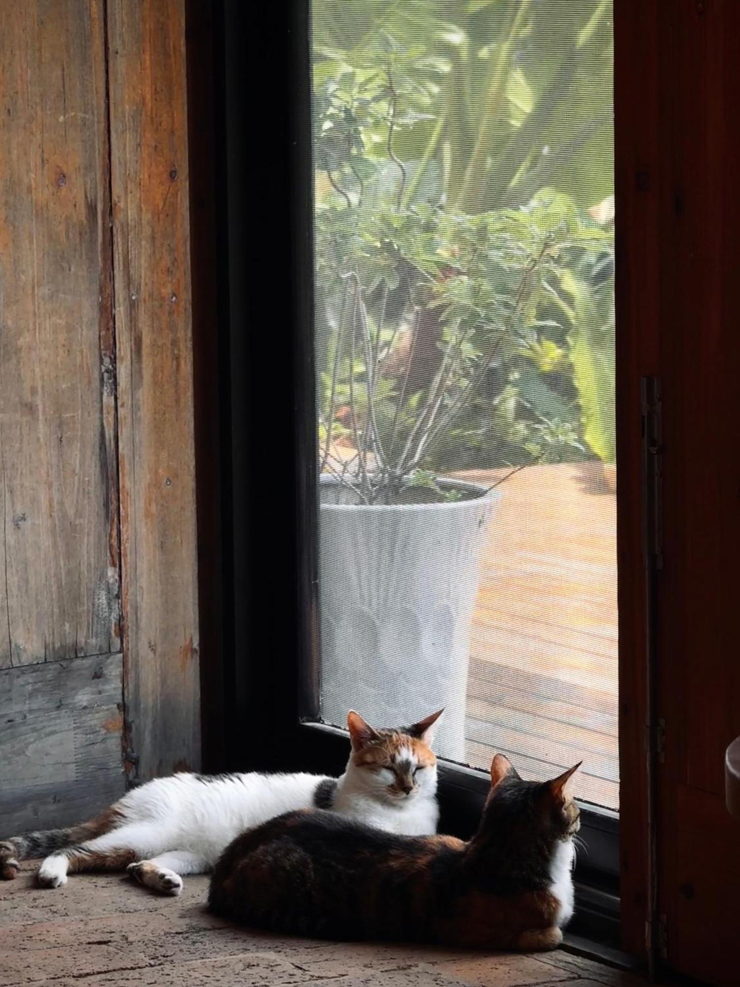 Yangshuo Hillside Homestay Kültér fotó
