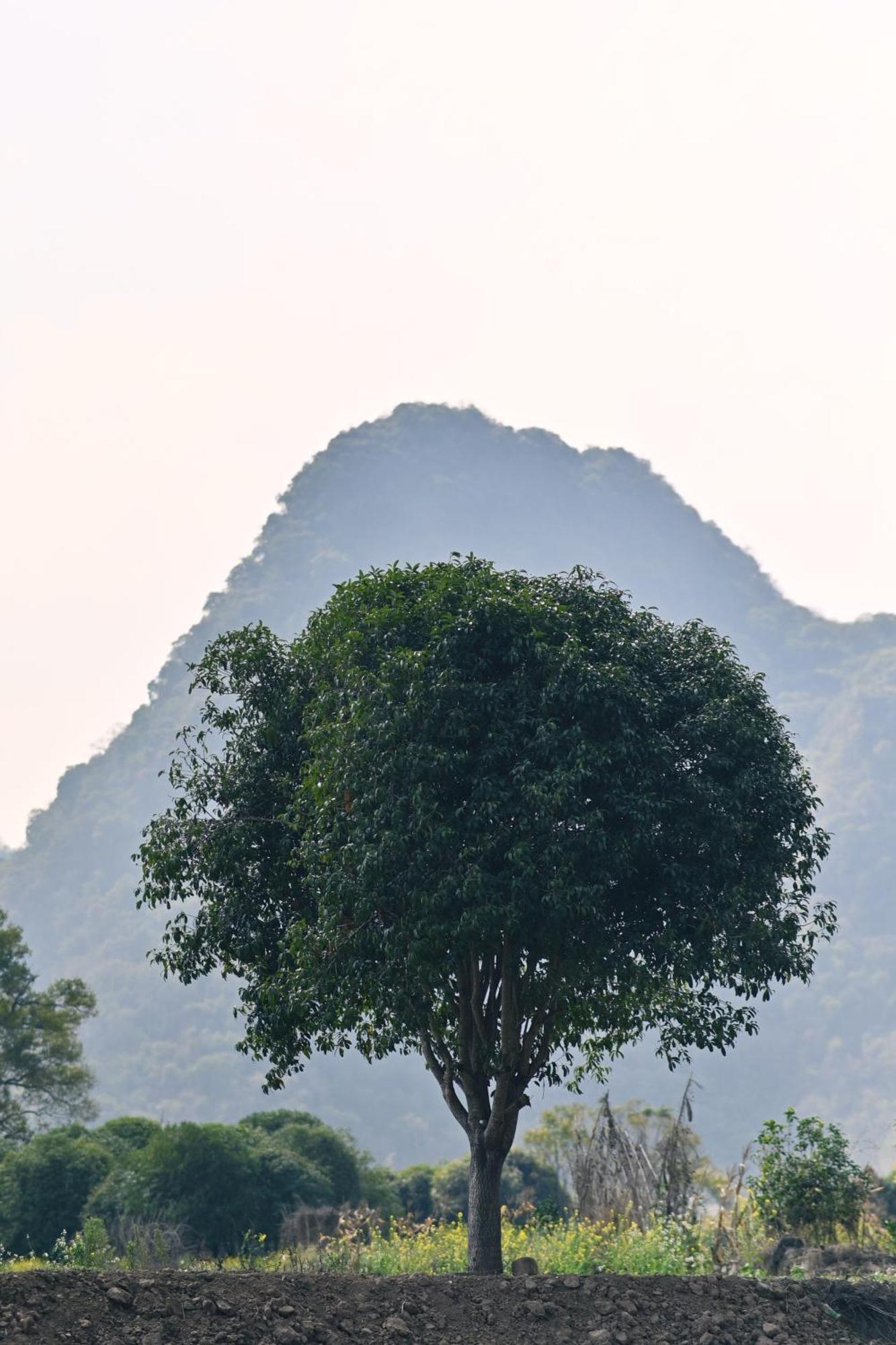 Yangshuo Hillside Homestay Kültér fotó
