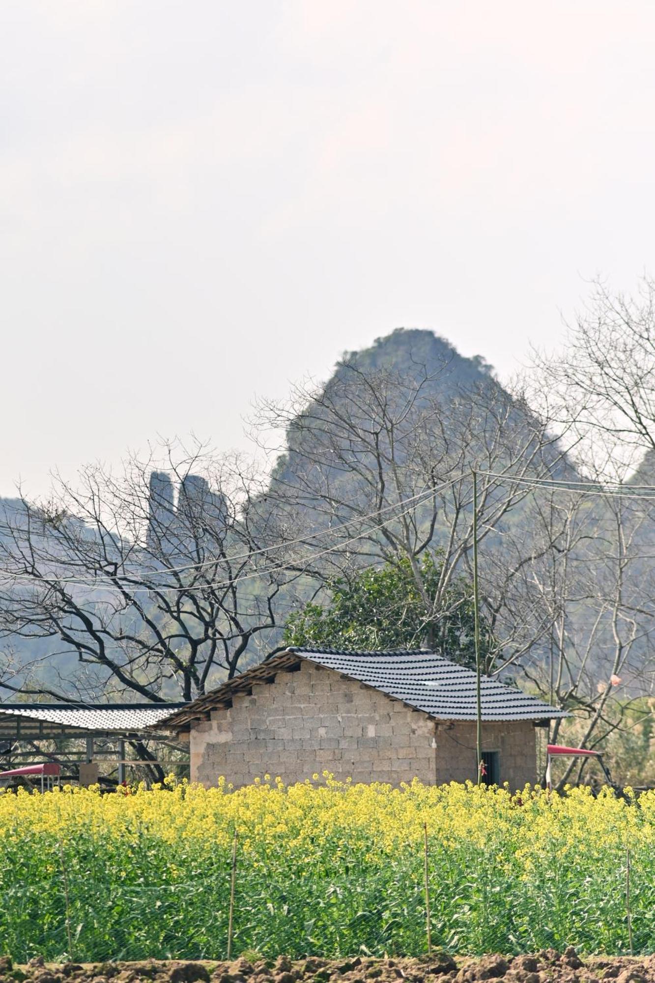 Yangshuo Hillside Homestay Kültér fotó